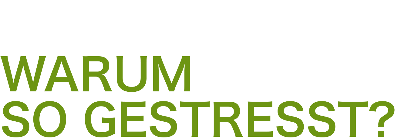 warum_so_gestresst