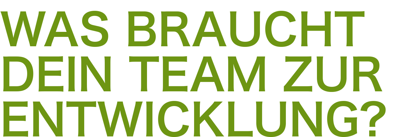 was_braucht_dein_team_zur_entwicklung