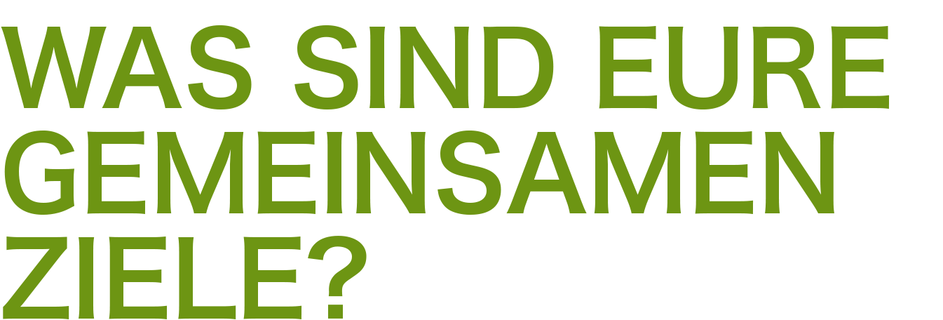 was_sind_eure_gemeinsamen_ziele